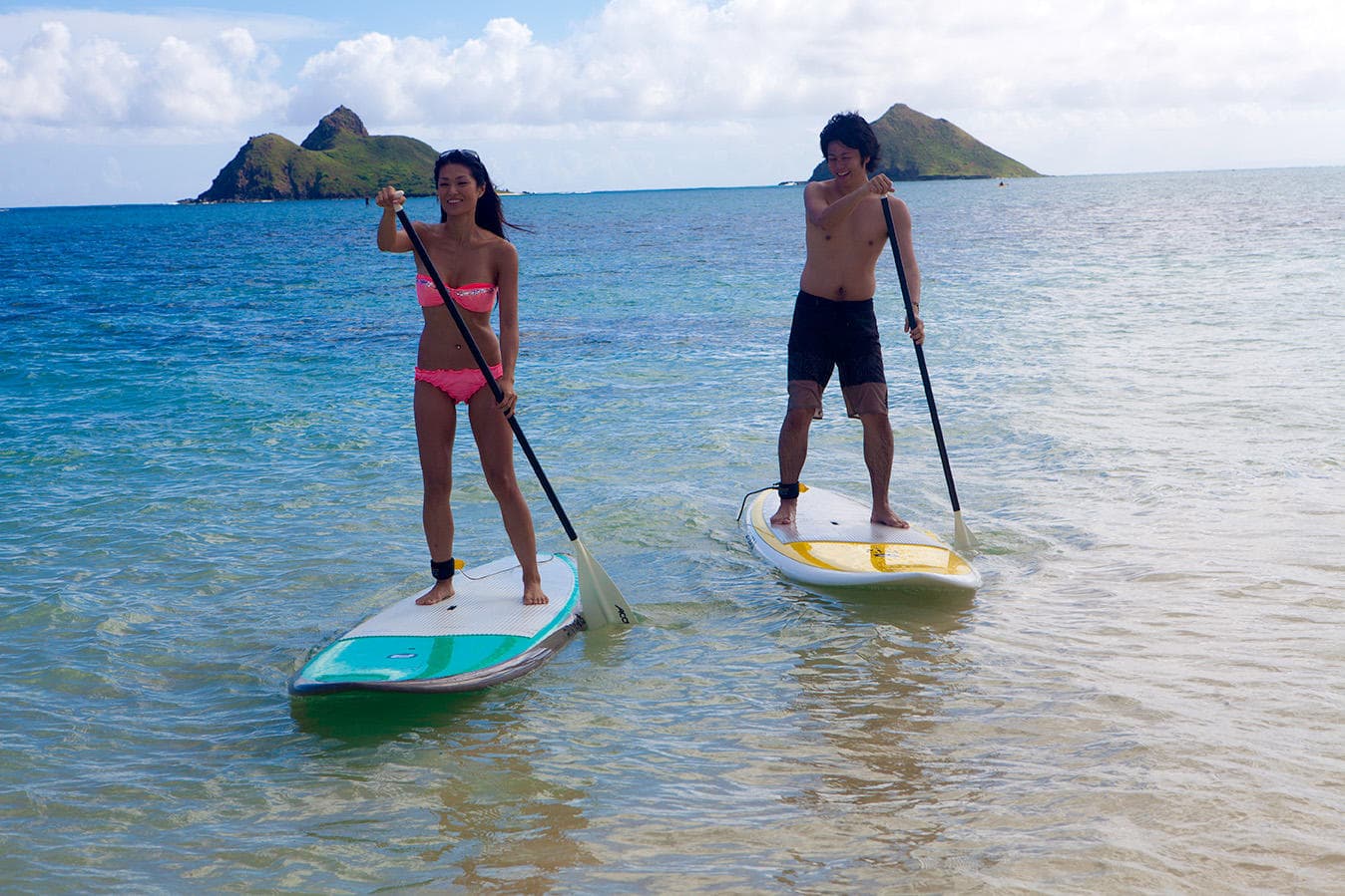 各種レンタル (Rental)