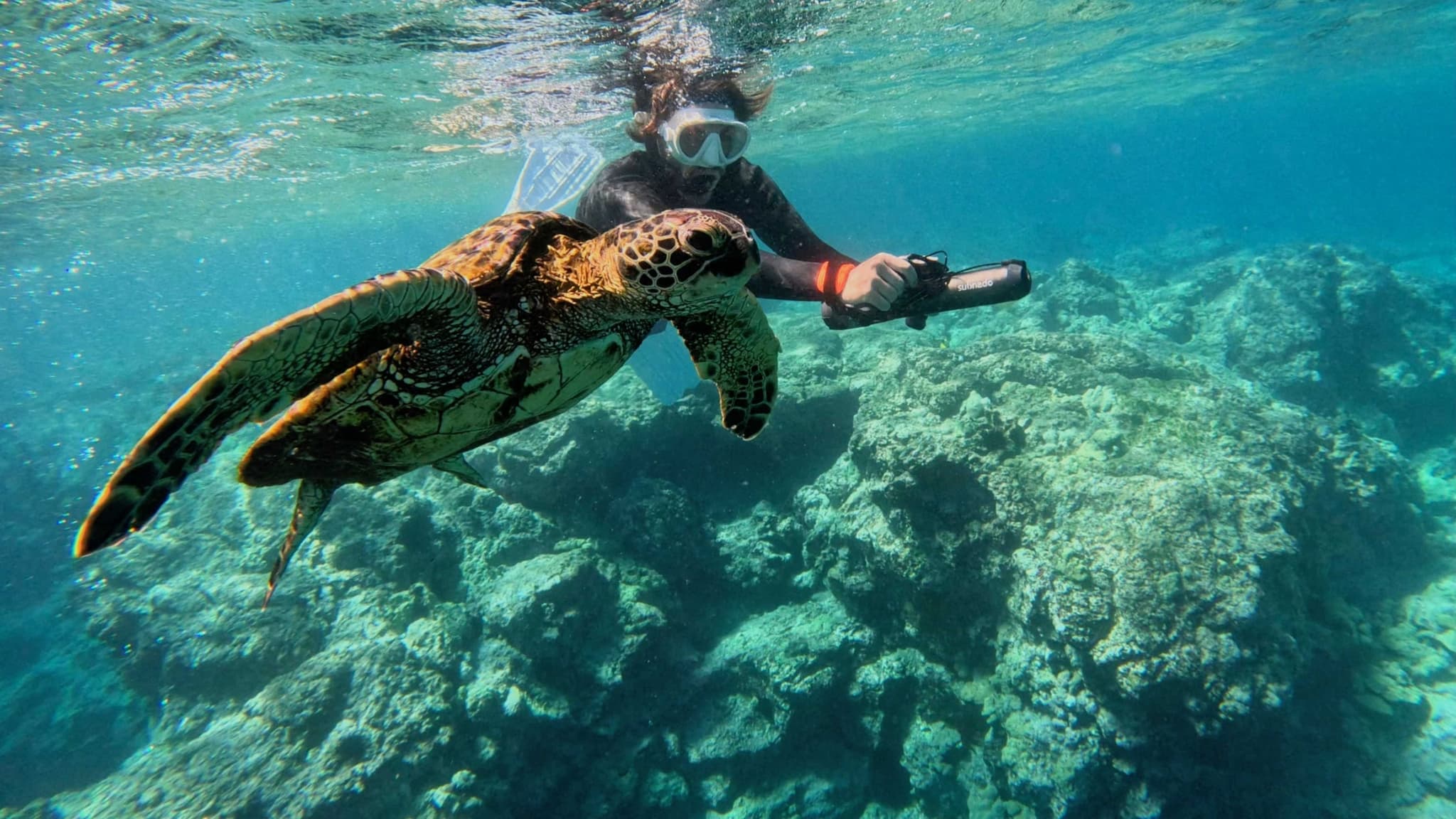 Guided Sea Scooter Snorkel Tour - Puako
