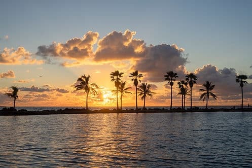 Ultimate Full Day Magical Experience