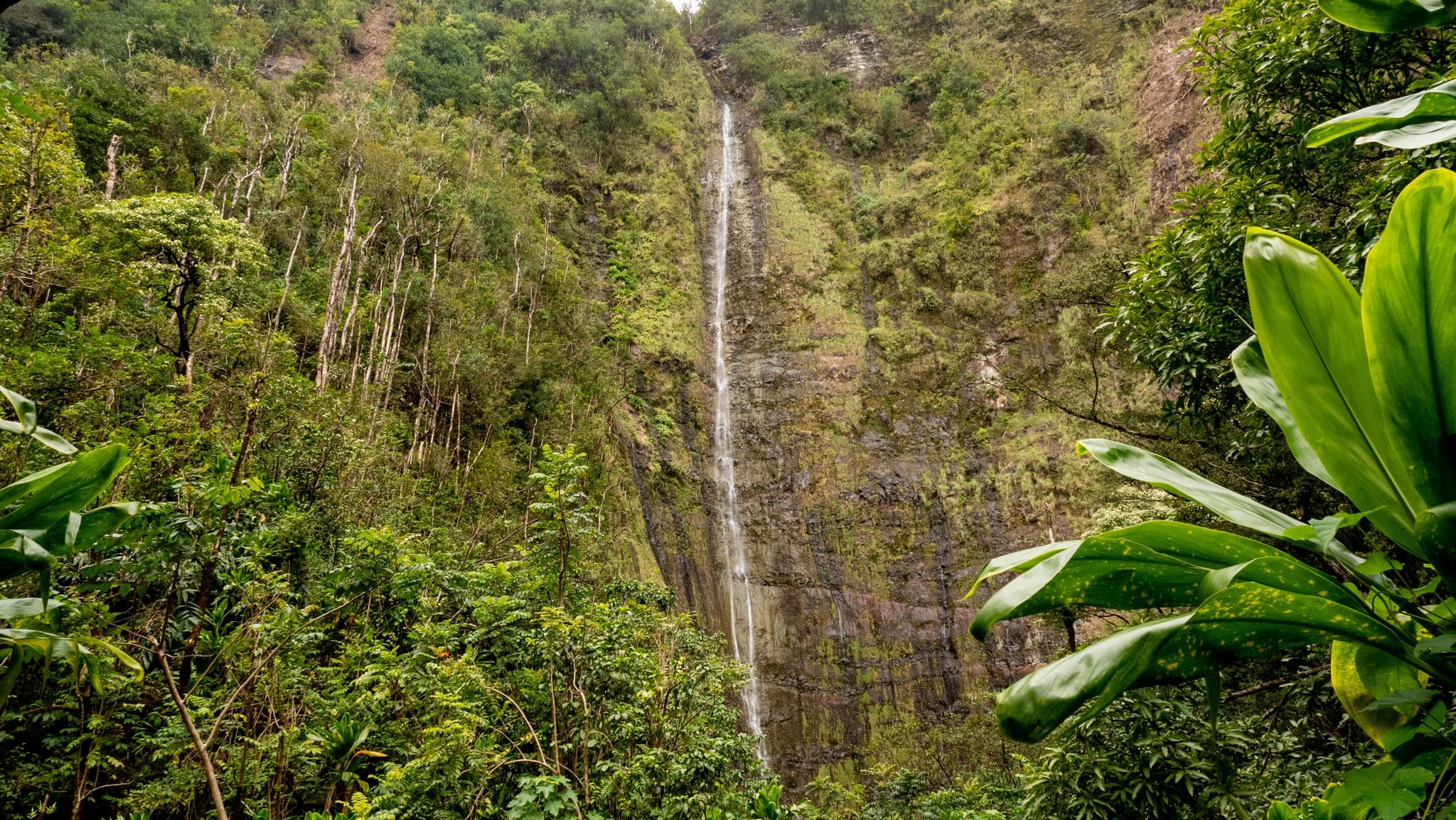 Pipiwai Trail & Haleakala Summit Deluxe Tour