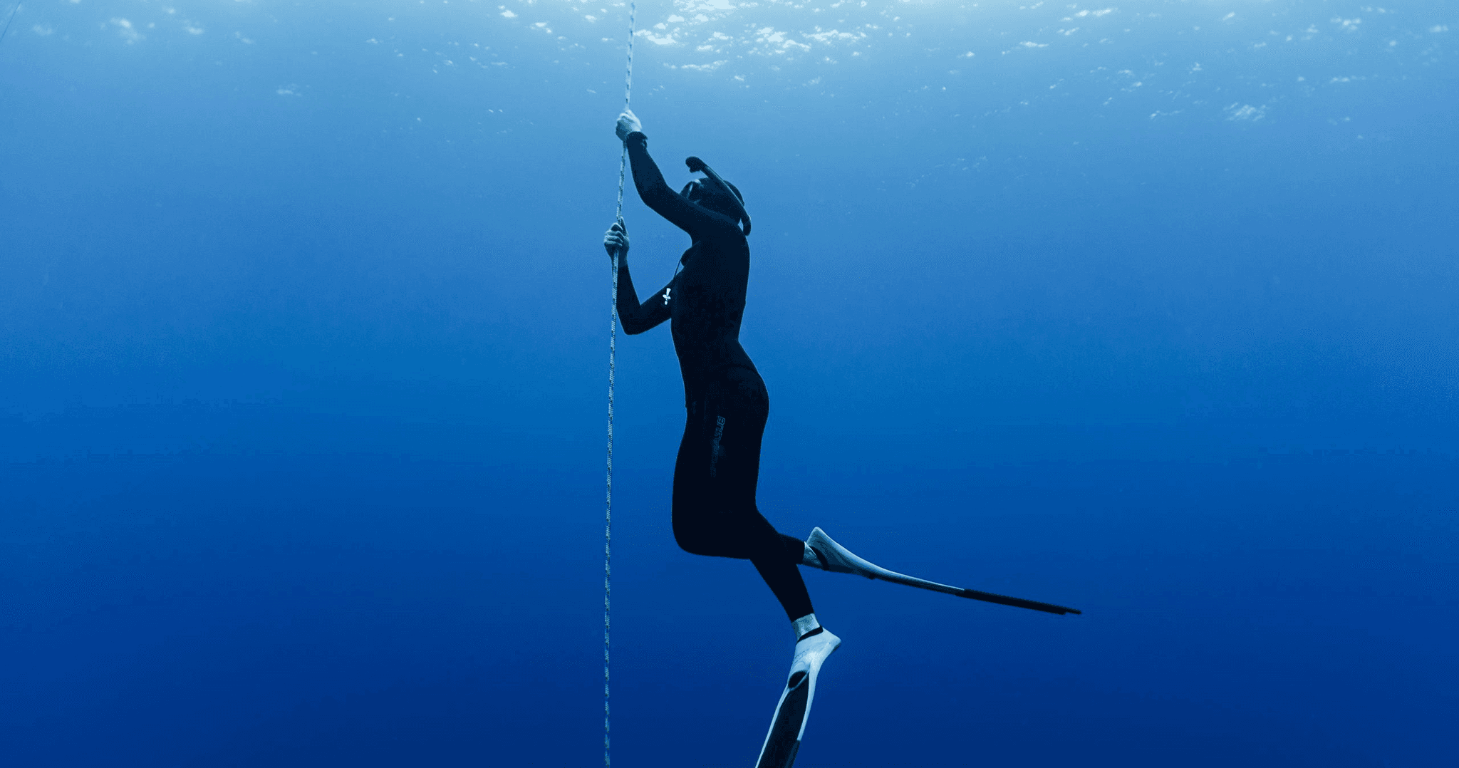 Level 1 Freediver