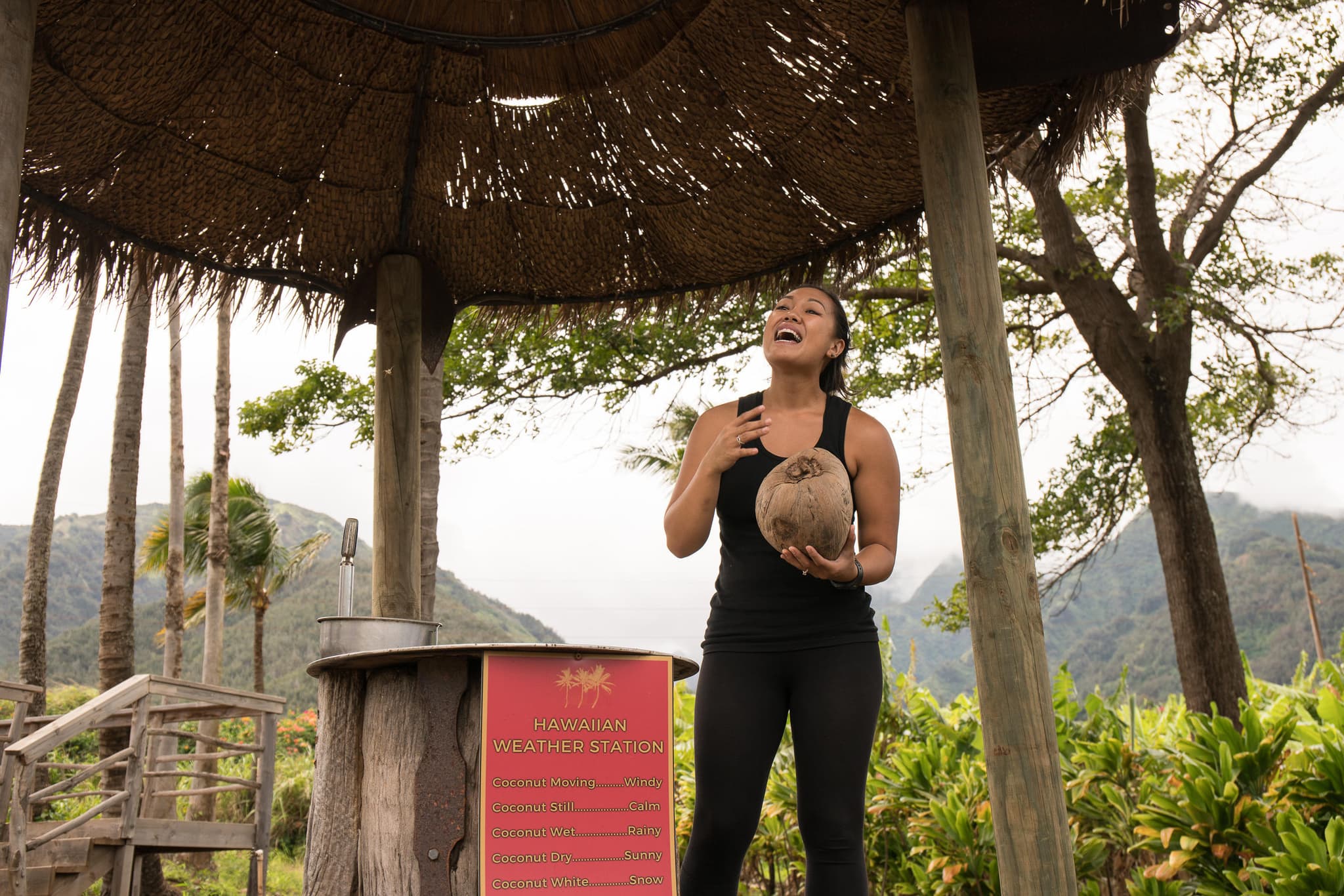 Tropical Express Tour