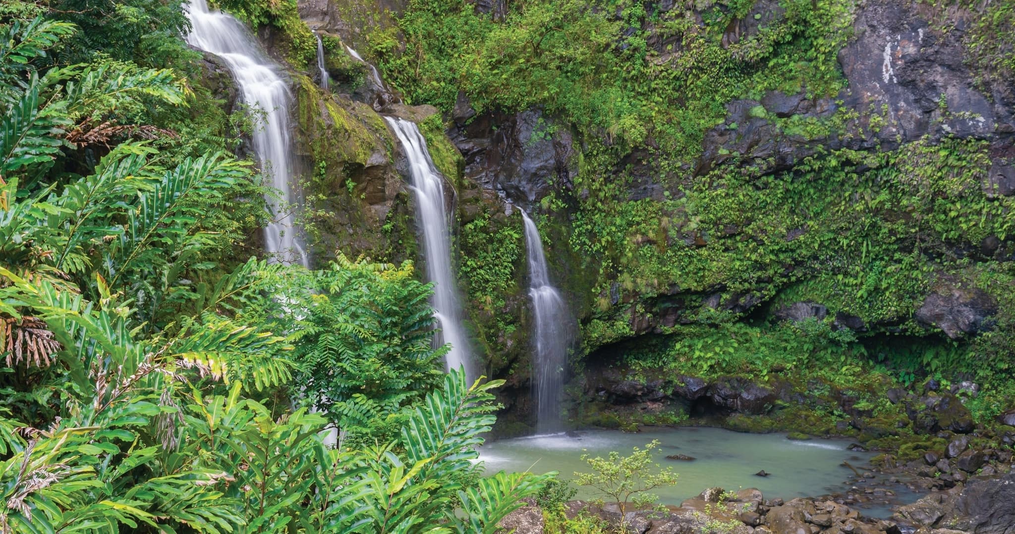 Road to Hana Adventure Tour (M2)