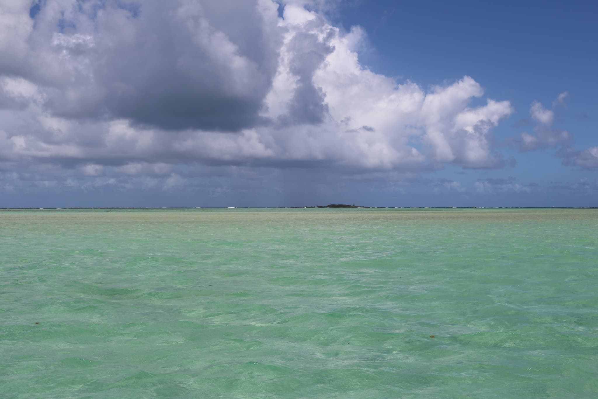 Private Sandbar Charter