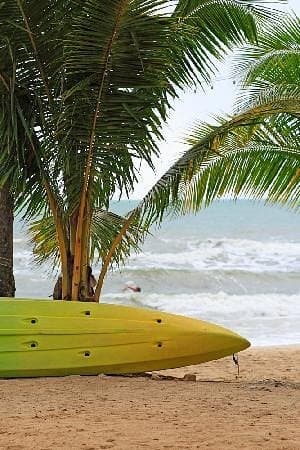 South Maui Turtle Reef Discovery