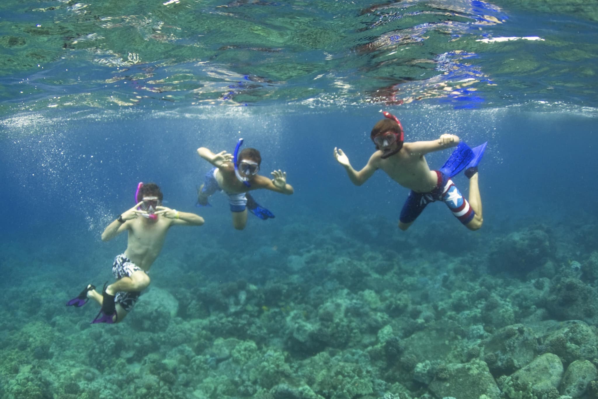 Kealakekua/Captain Cook Adventure