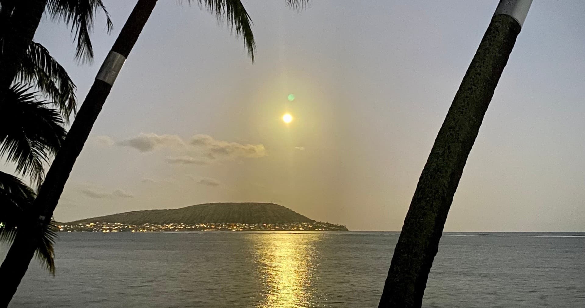 Elevated Vibes Full Moon Yoga