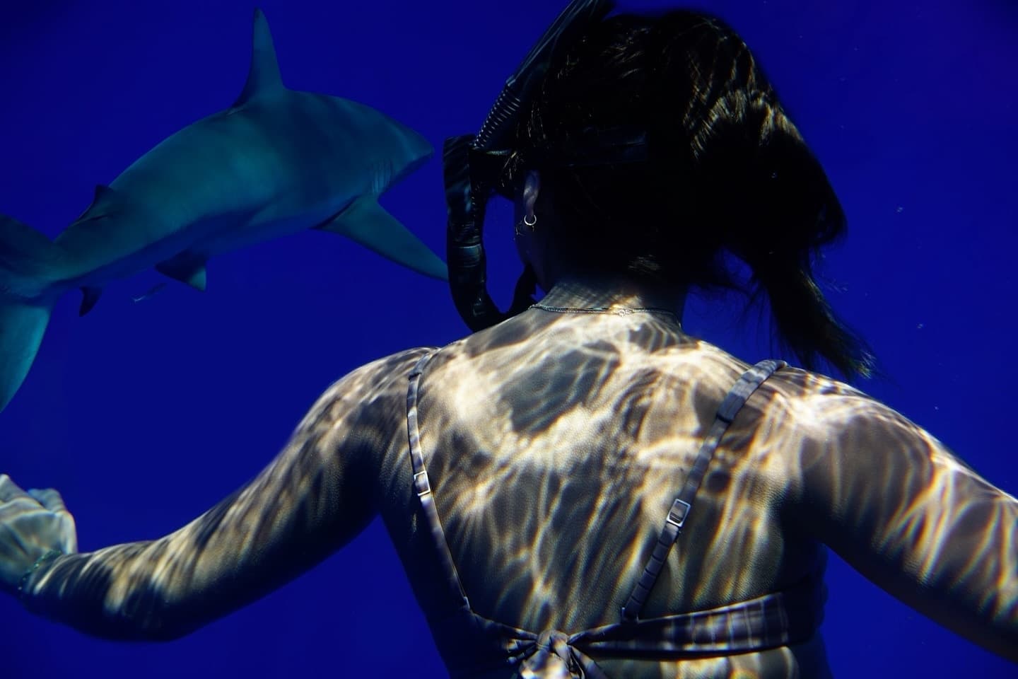 Become a Shark Safety Diver!