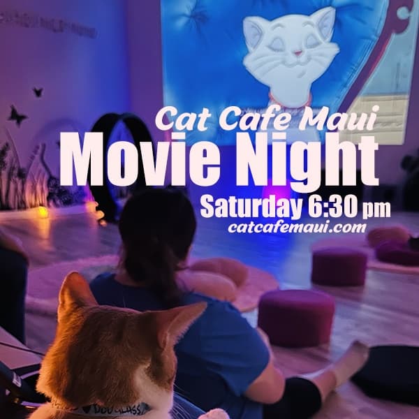 Movie With Cats