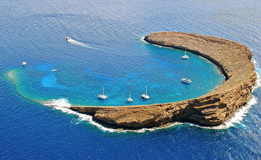 Dive Molokini Crater