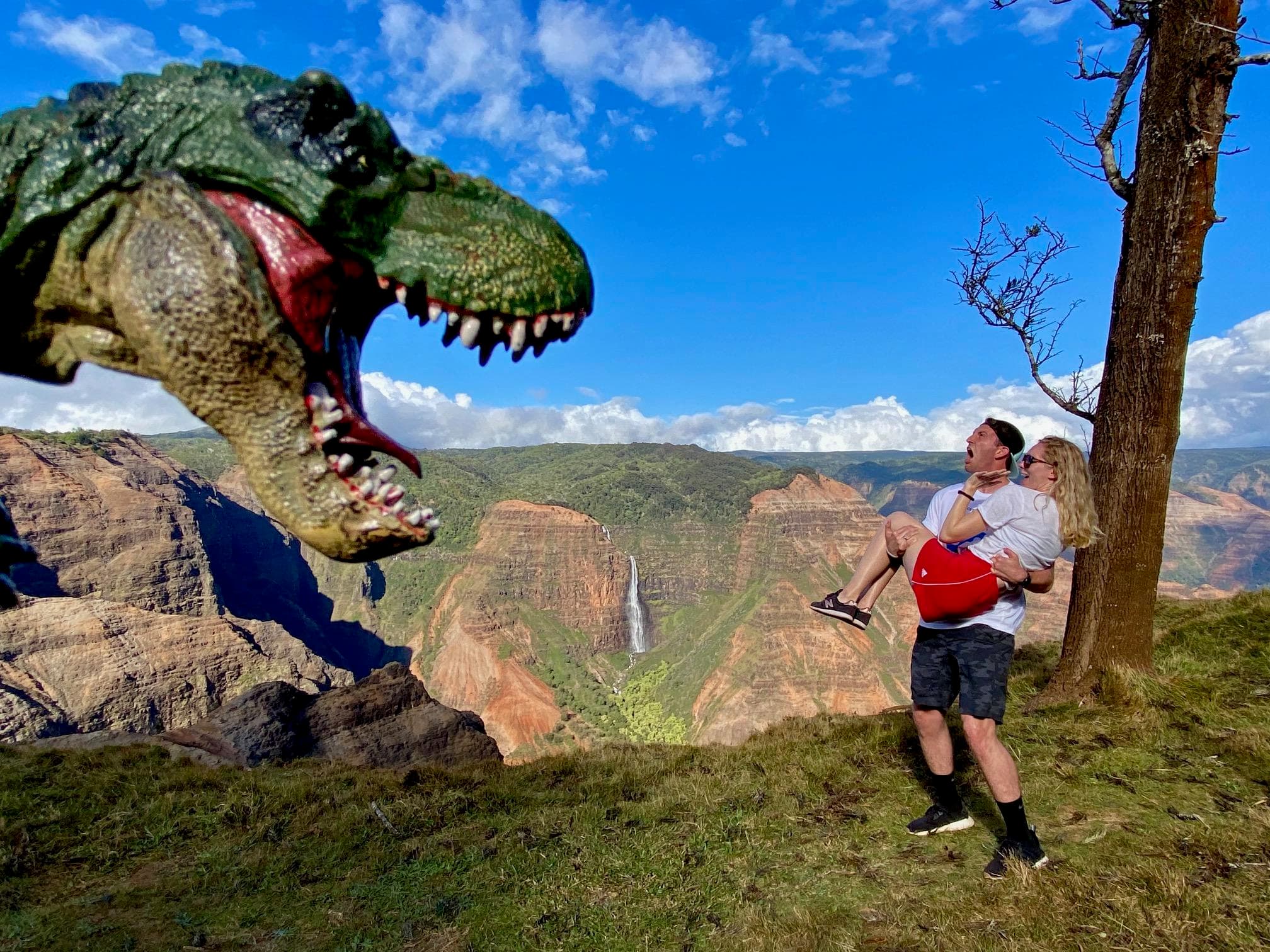 Waimea Canyon Downhill Bike Ride Adventure