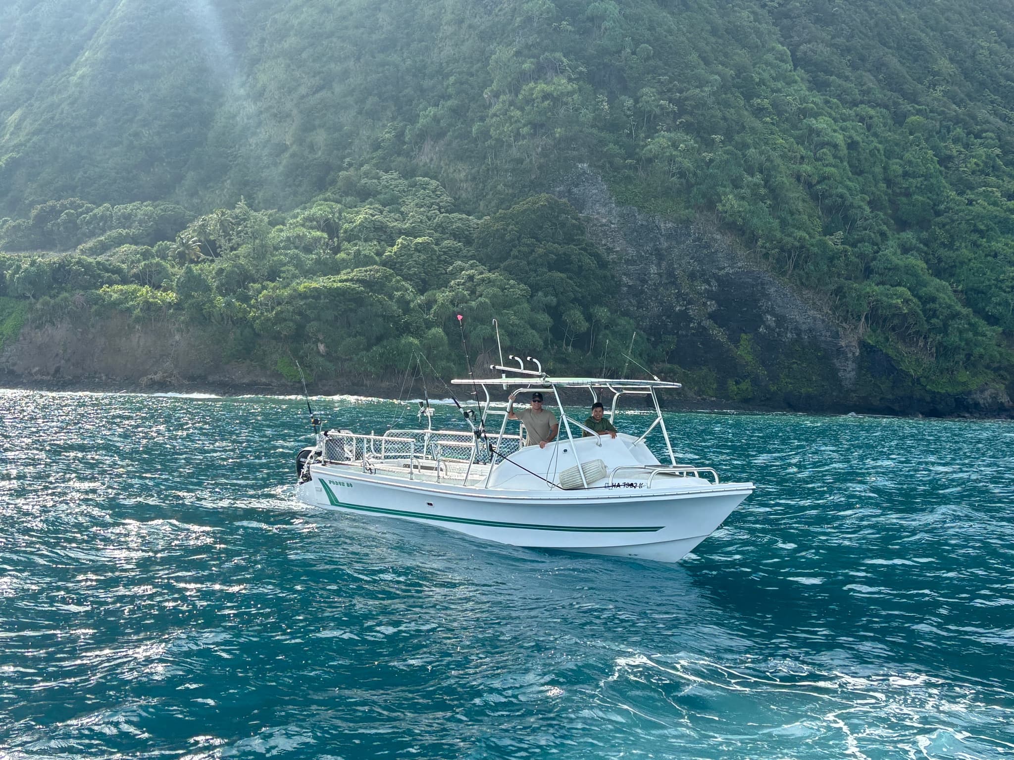 Private Charter Snorkel & Whale Watching