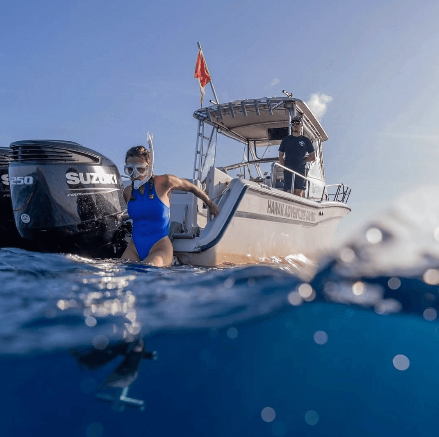 Open Water Shark Dive