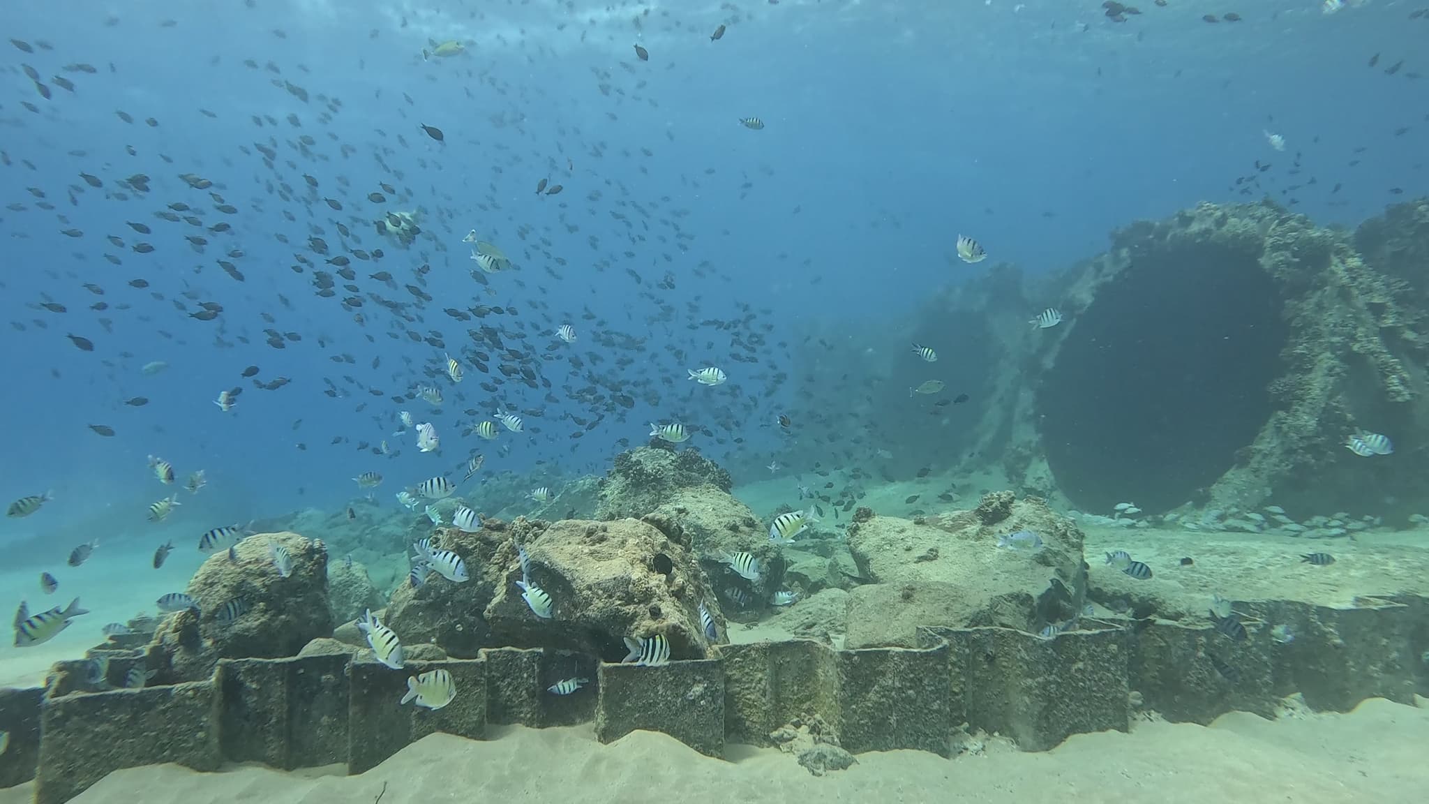 Private Discover Scuba