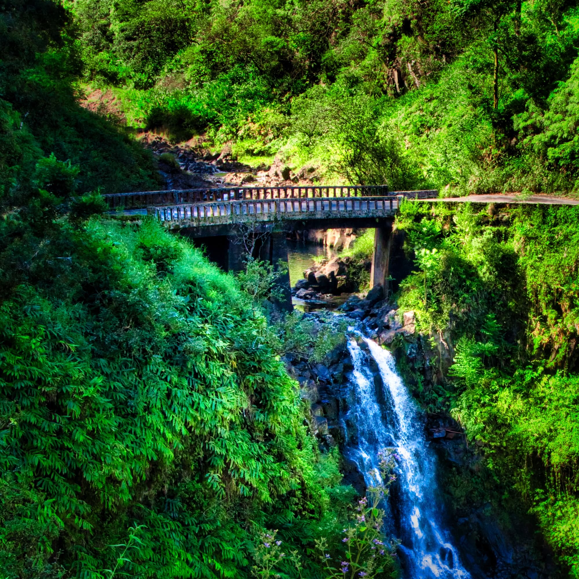 Halfway to Hana Private Tour - Large Group