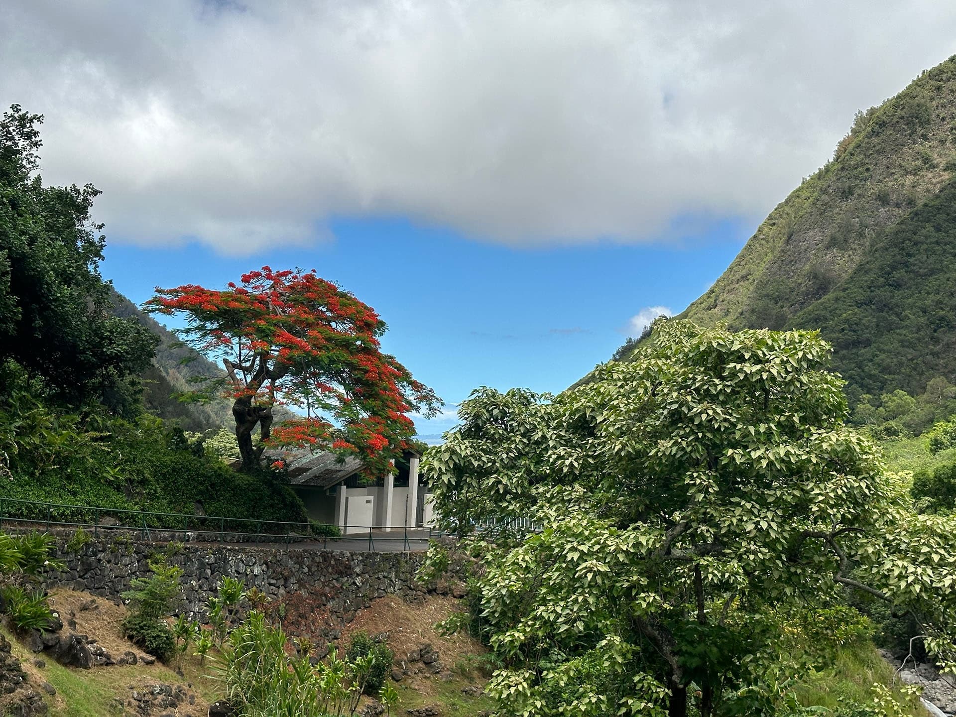 Iao Valley Tour