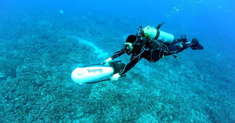 Pelagic Blackwater Night Dive