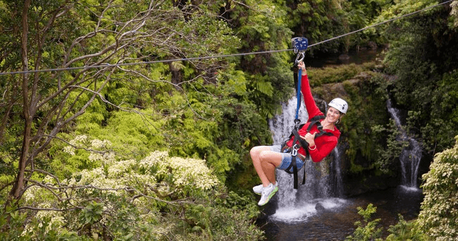 Zipline Adventure