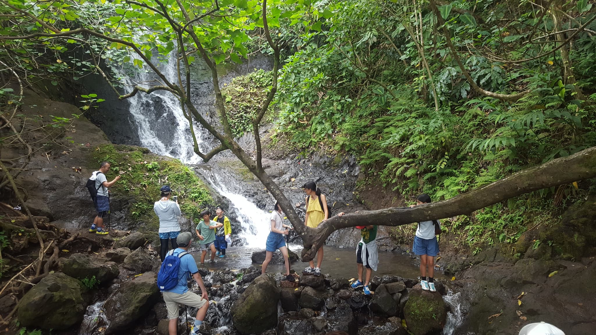 Downhill Bike & Ko’olau Waterfall Hike