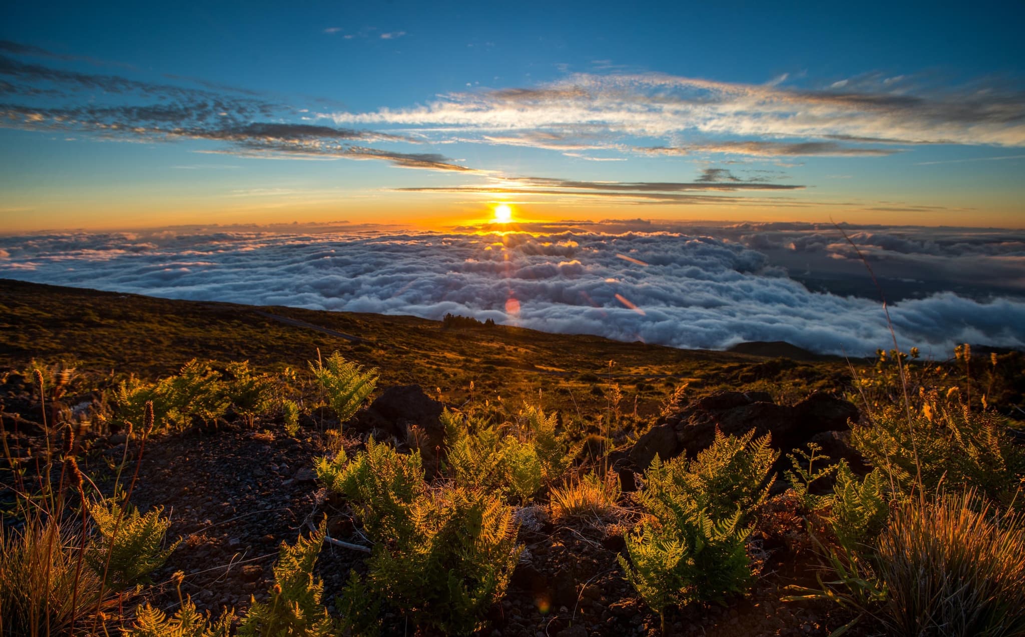 Haleakala Summit & Stroll