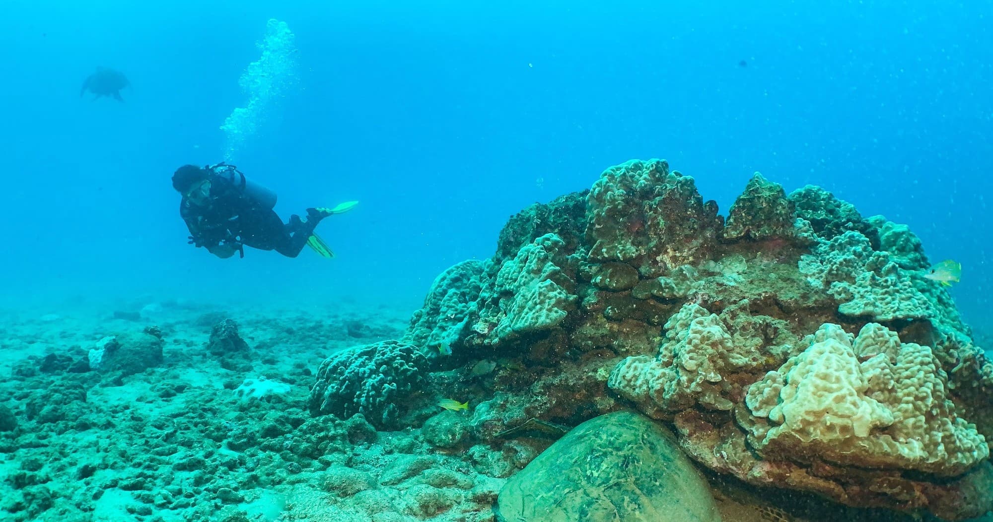 Koloa Landing 1-Tank Shore Dive