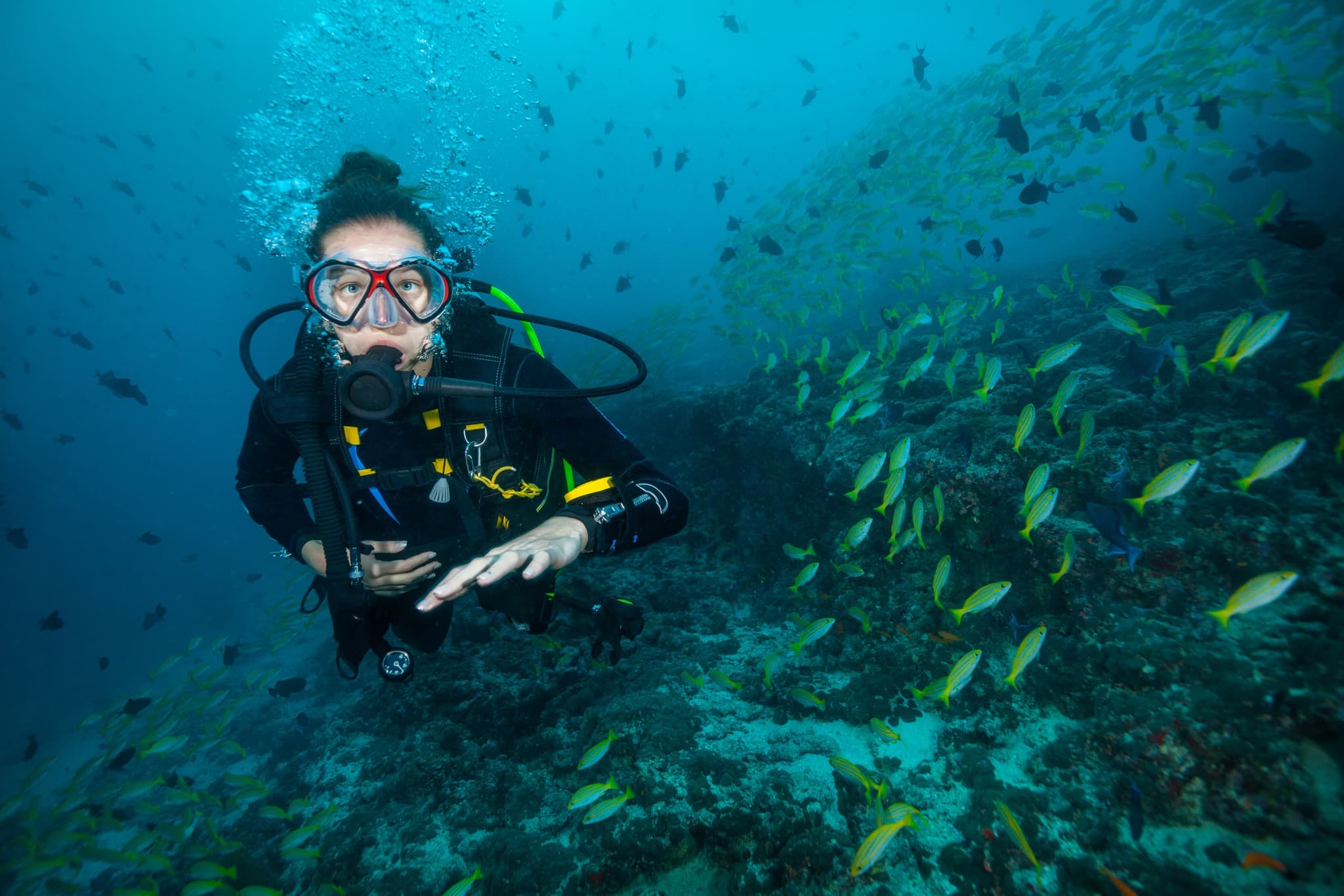 Private Try Scuba Diving Tour- Honolulu