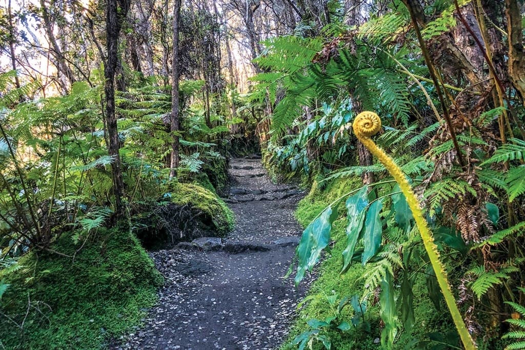 Volcano Vortex Hike 🌋