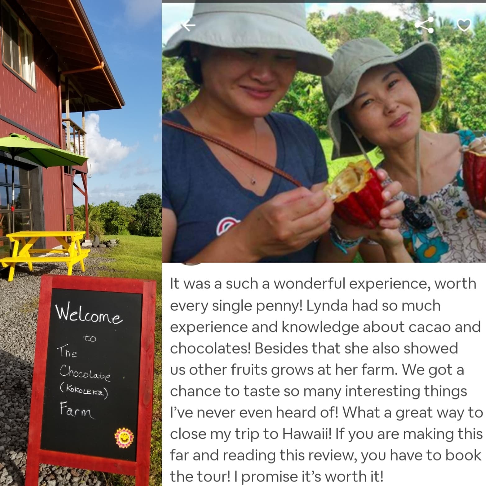 Help with Farm Chores