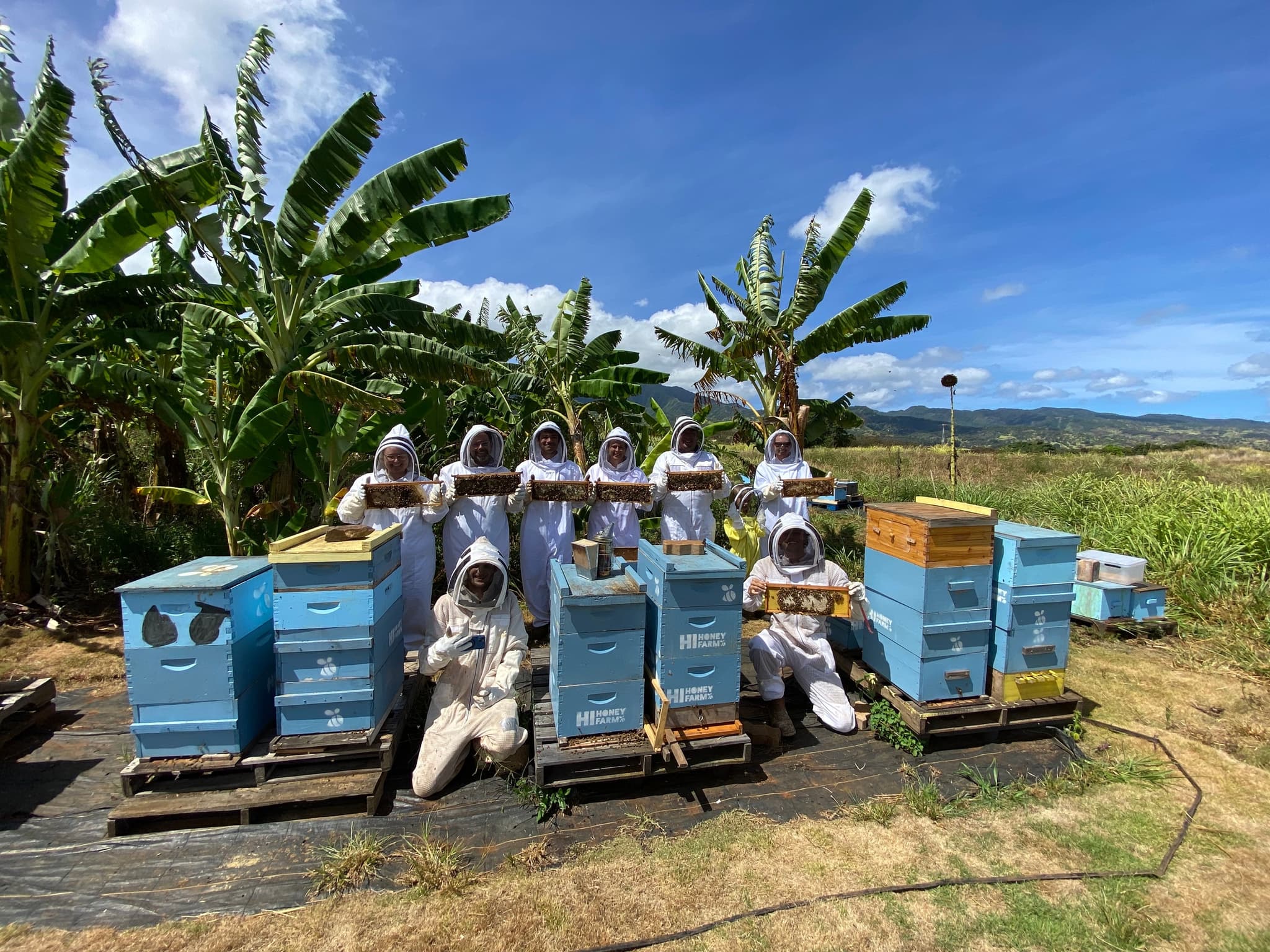 North Shore Apiary Tour & Honey Tasting