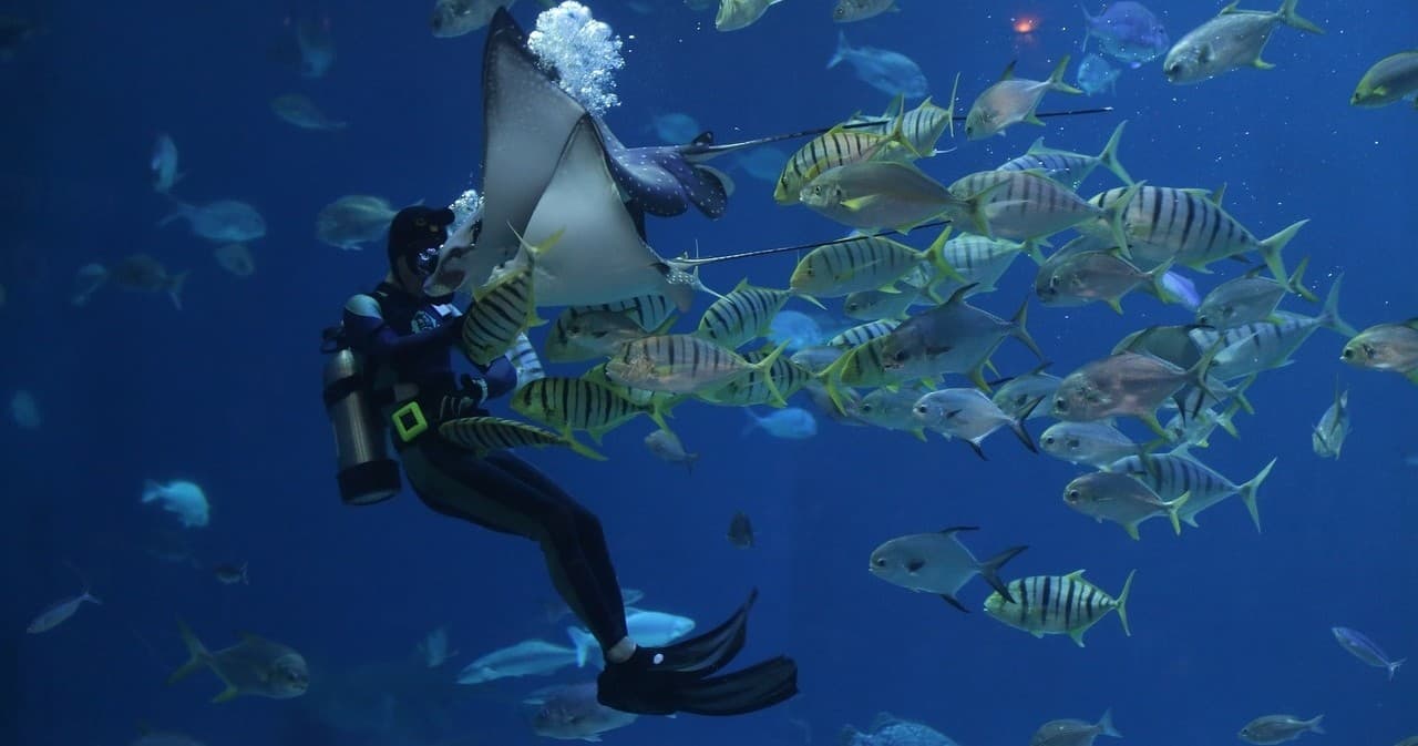 Two Tank Shore Dive - Maui