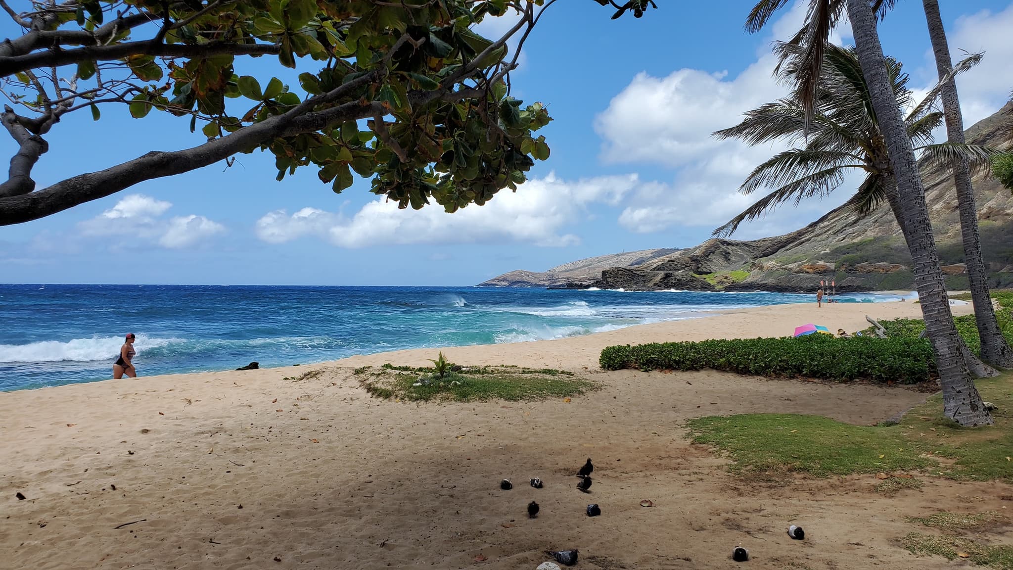 Circle Oahu Island Tour