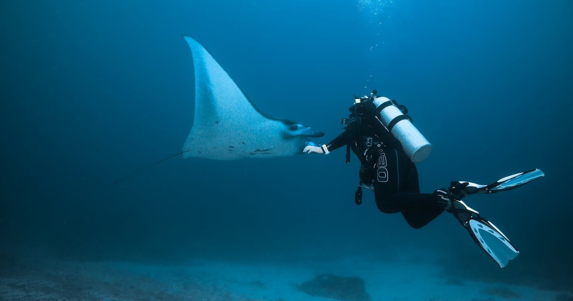 Public Scuba Charter