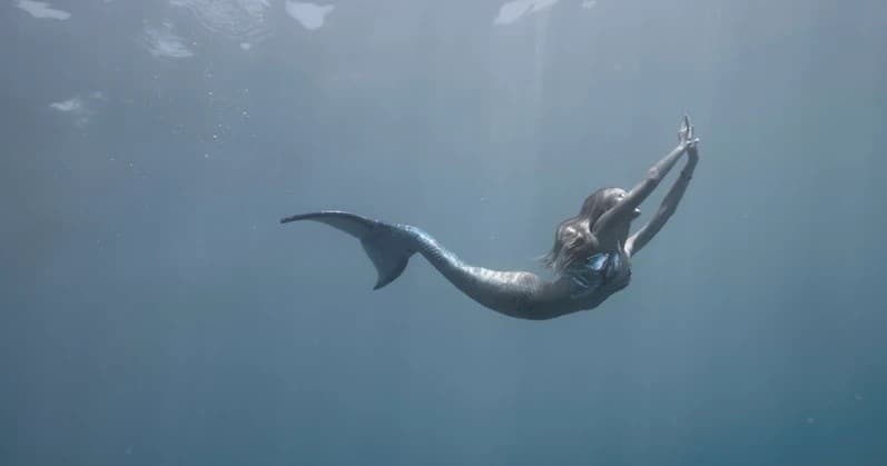 Freediving