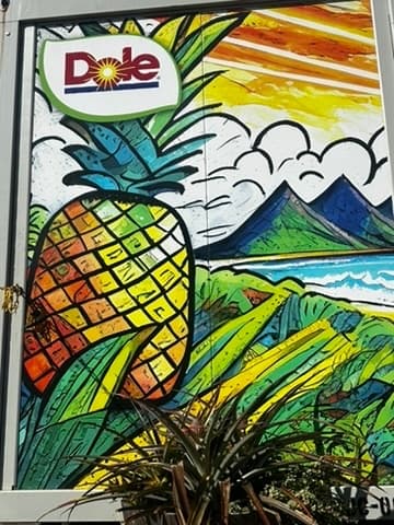 North Shore Foodie Fun: Eat, Explore, Enjoy