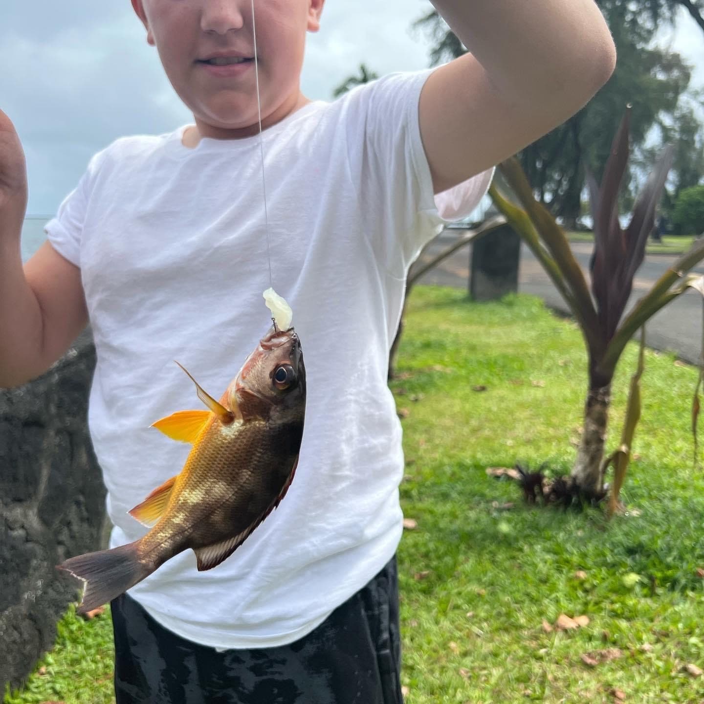 Hilo Shore Fishing