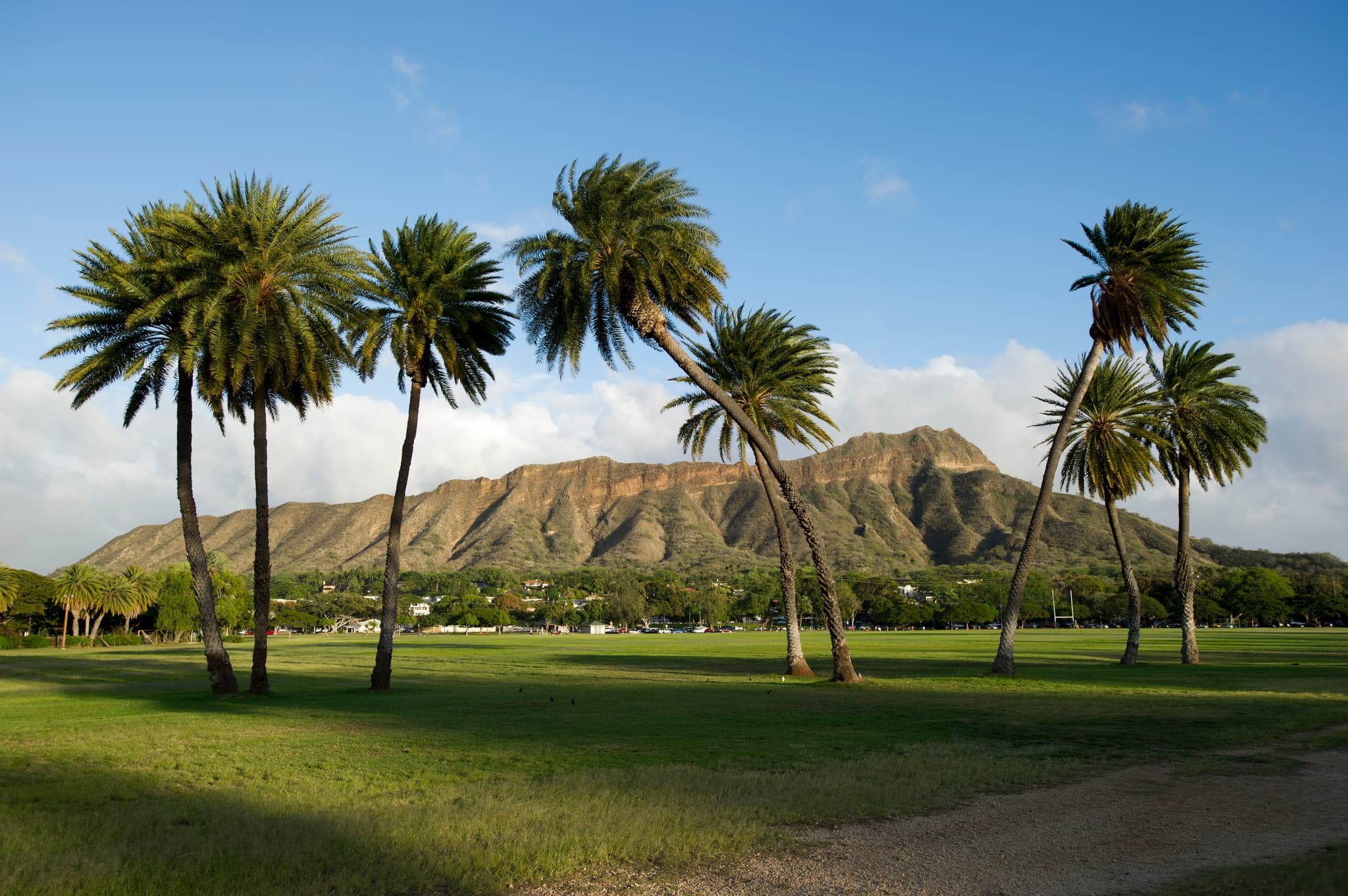 2nd Diamond Head Hiking Shuttle With Malasda