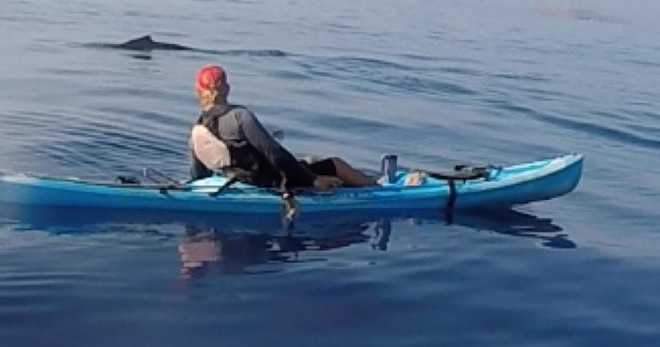 Whale Watch & Reef Snorkel - West Maui