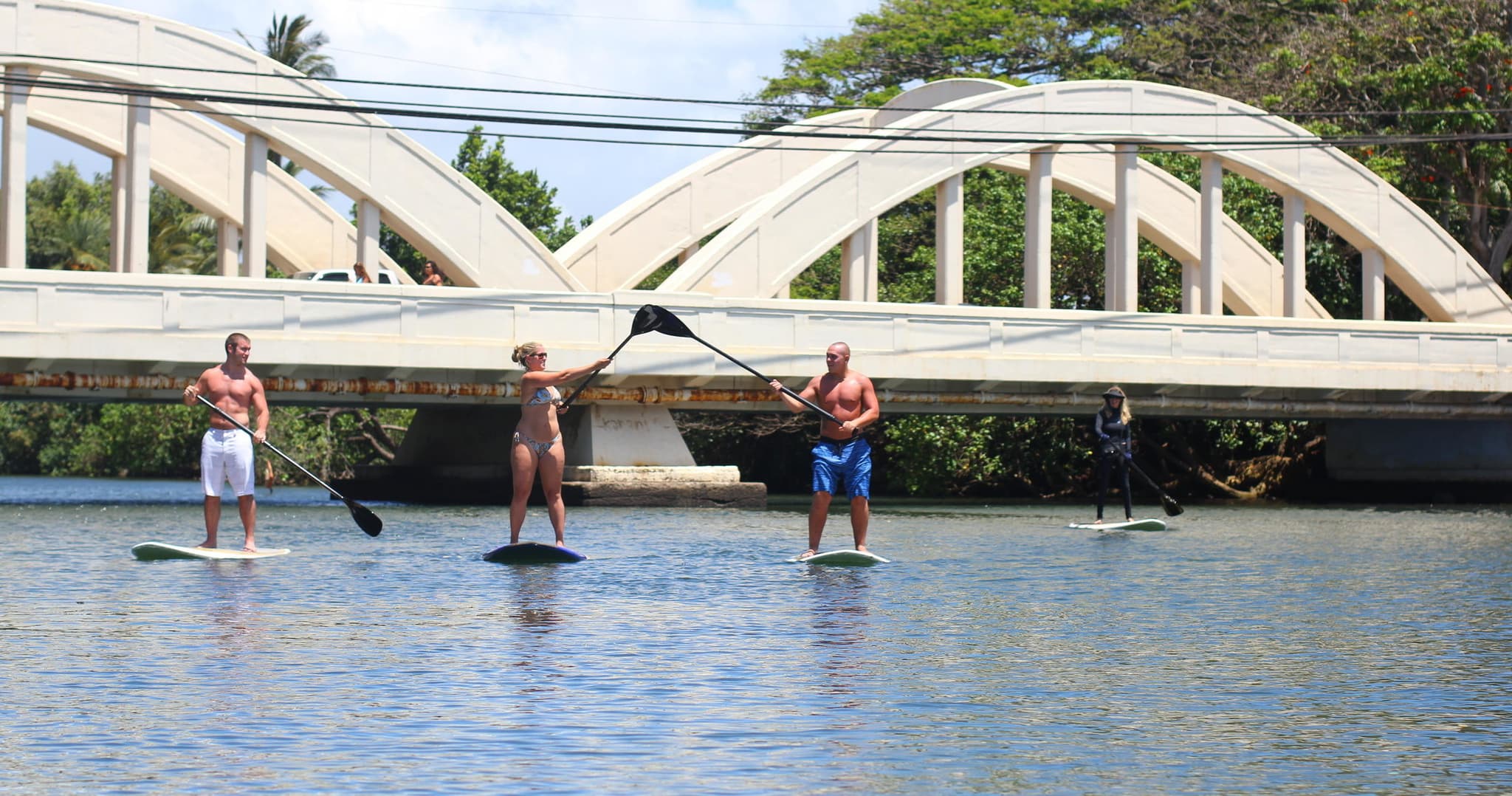 SUP Lesson & River Turtle Tour - OLD