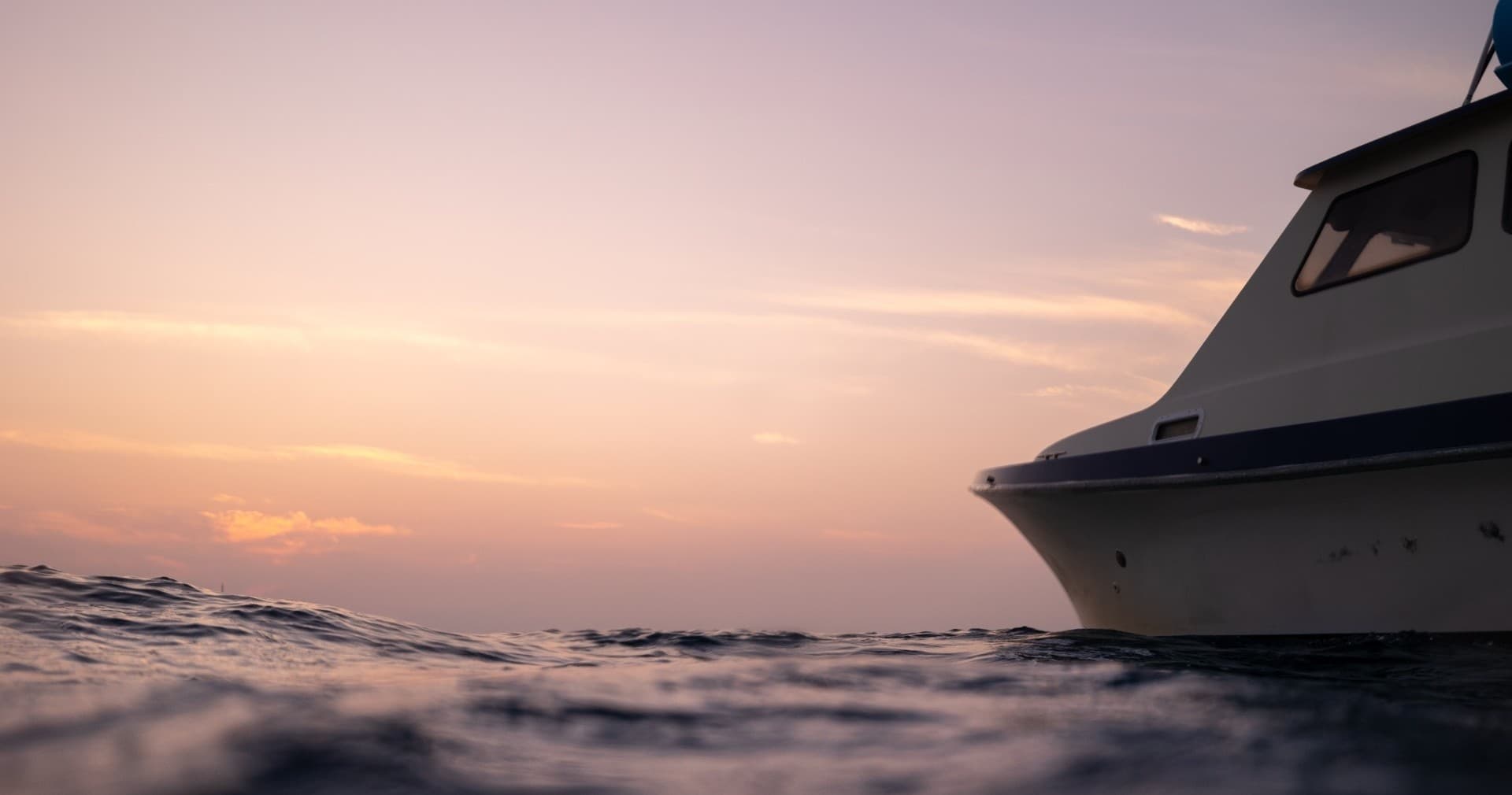 Private Sunset Swim/Snorkel & Cruise