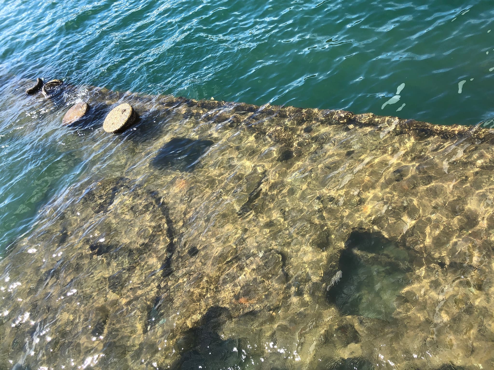 Arizona Memorial & Custom Tour