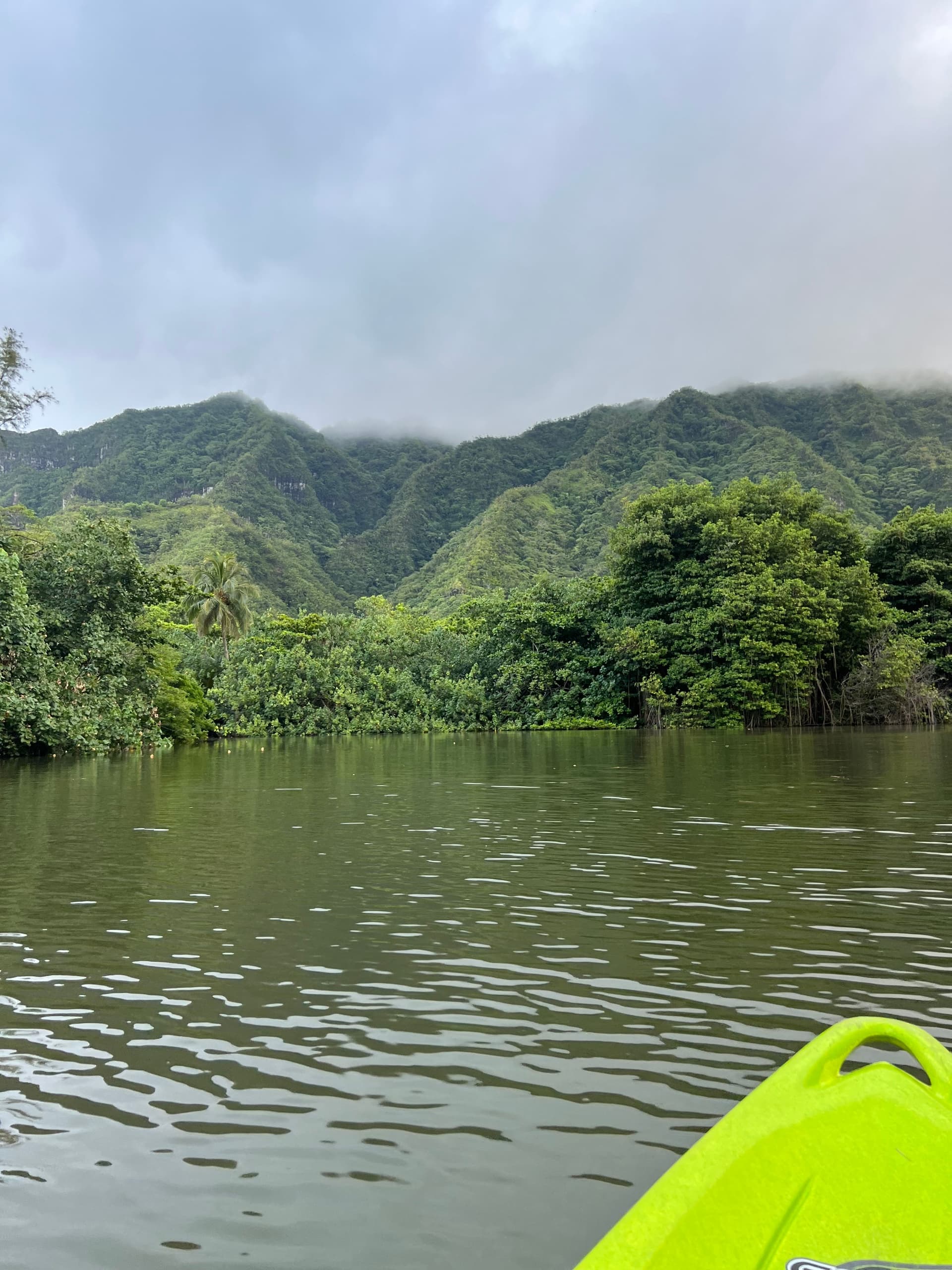 Kayaking Rainforest River on Oahu, Kahana River(Self-Guided Tour)
