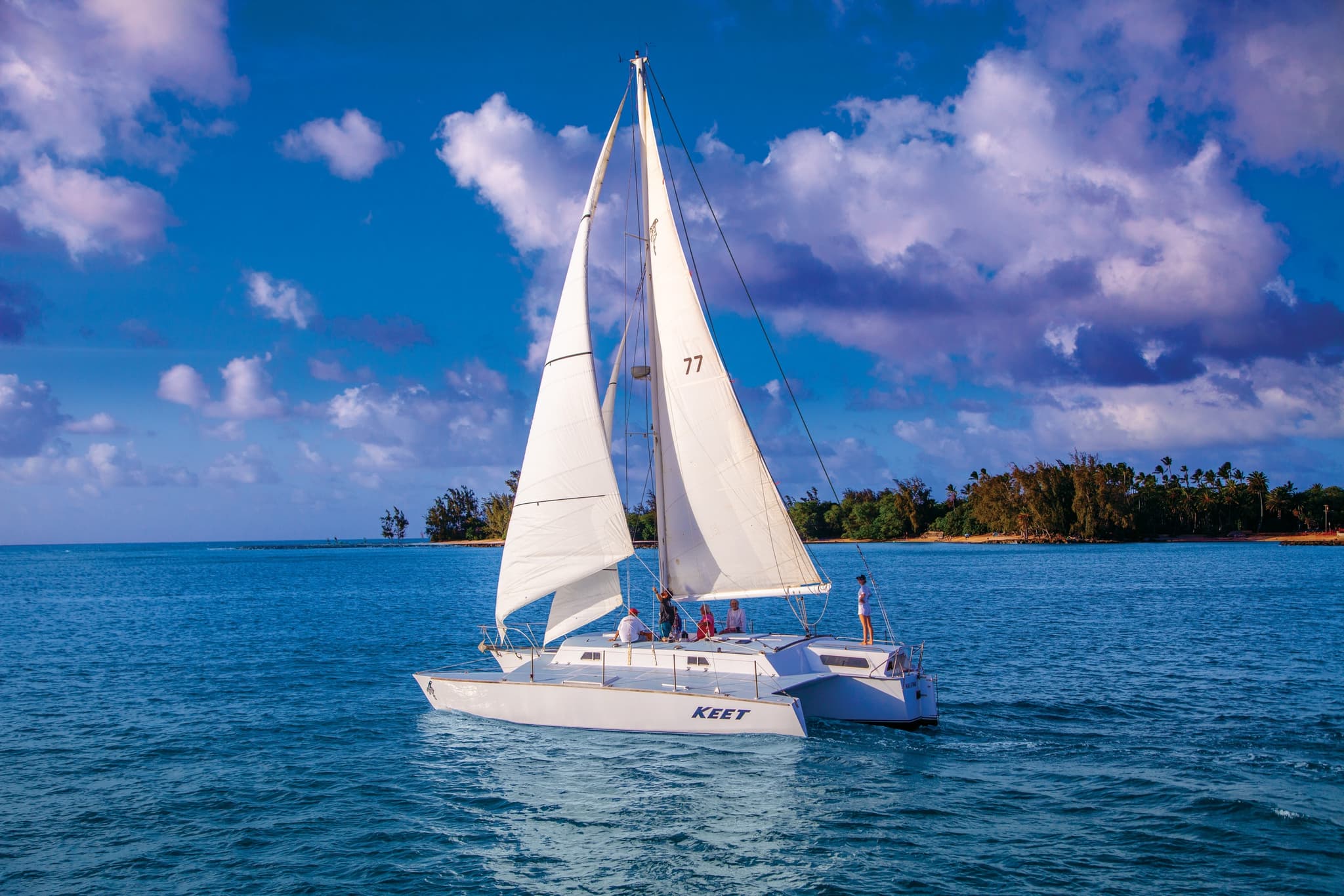 Whale Watching Adventure