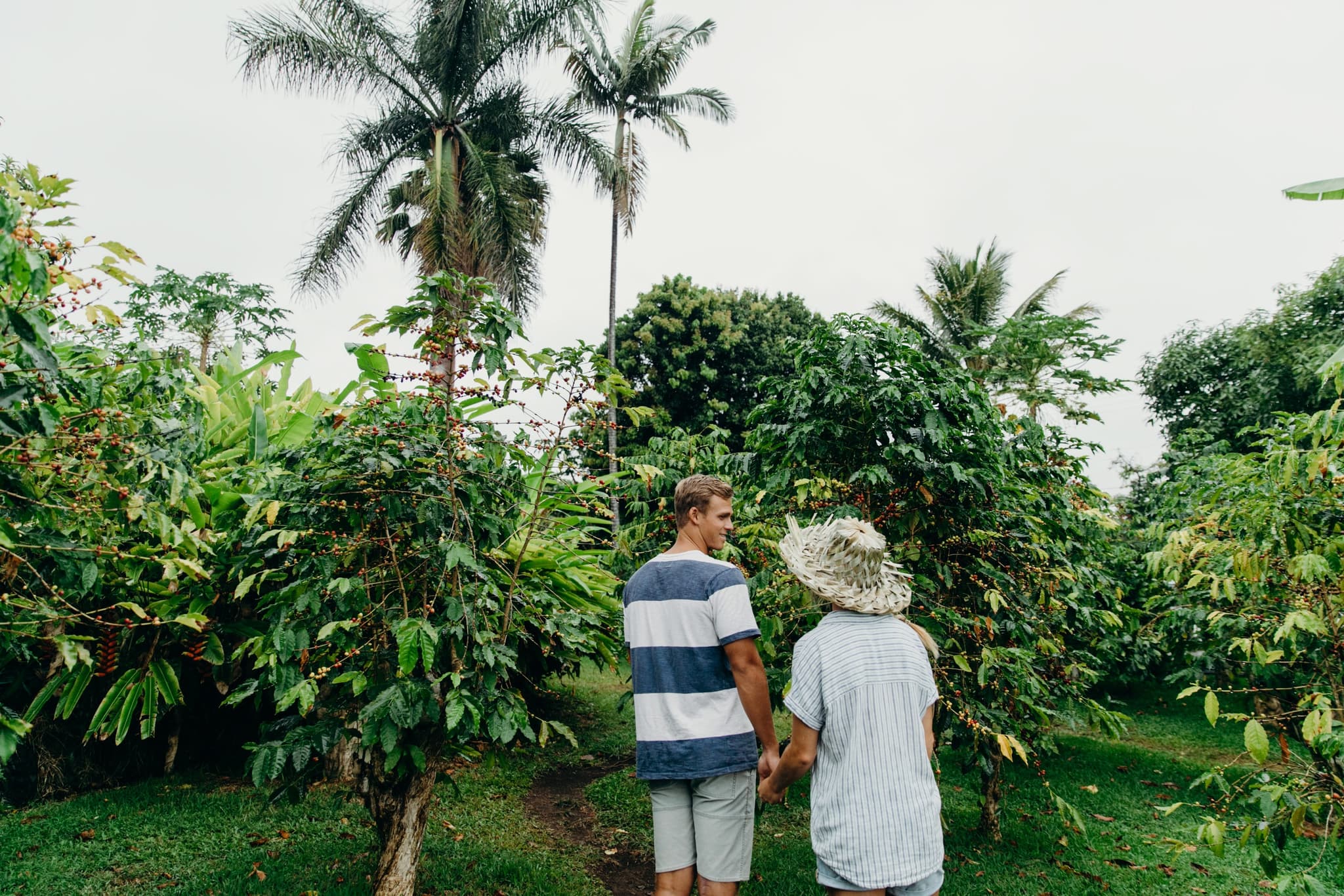 South Kona Tour: A Journey Through History and Natural Beauty