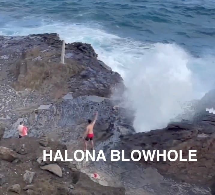 Oahu Circle Island Tour