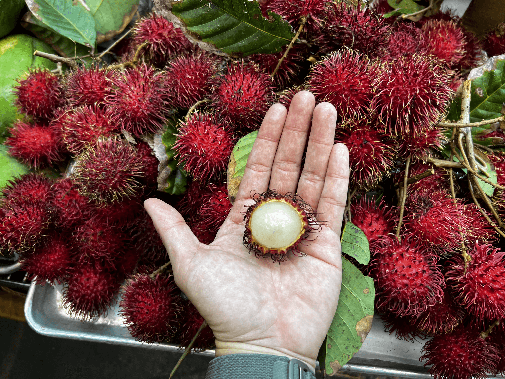 Off The Beaten Path - Hawaii Food Tour