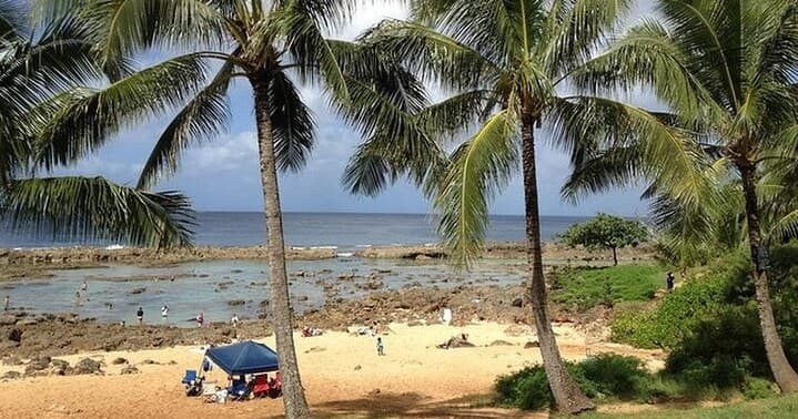 Oahu Customizable Luxury Anywhere Anytime Tour