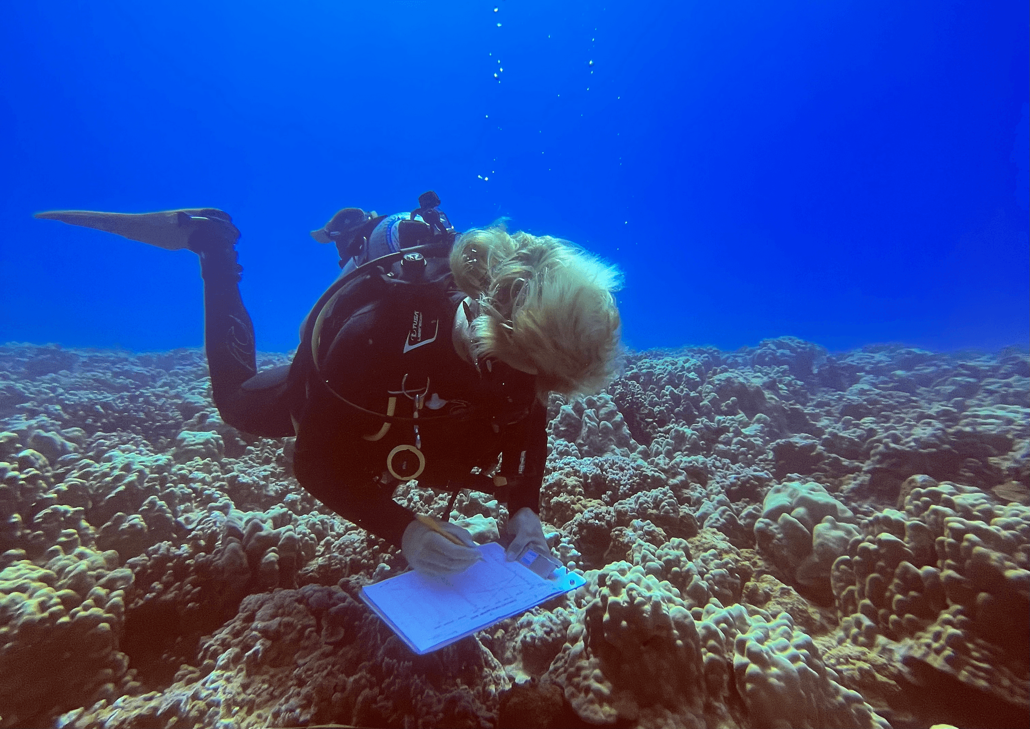 Scientific Divemaster Internship