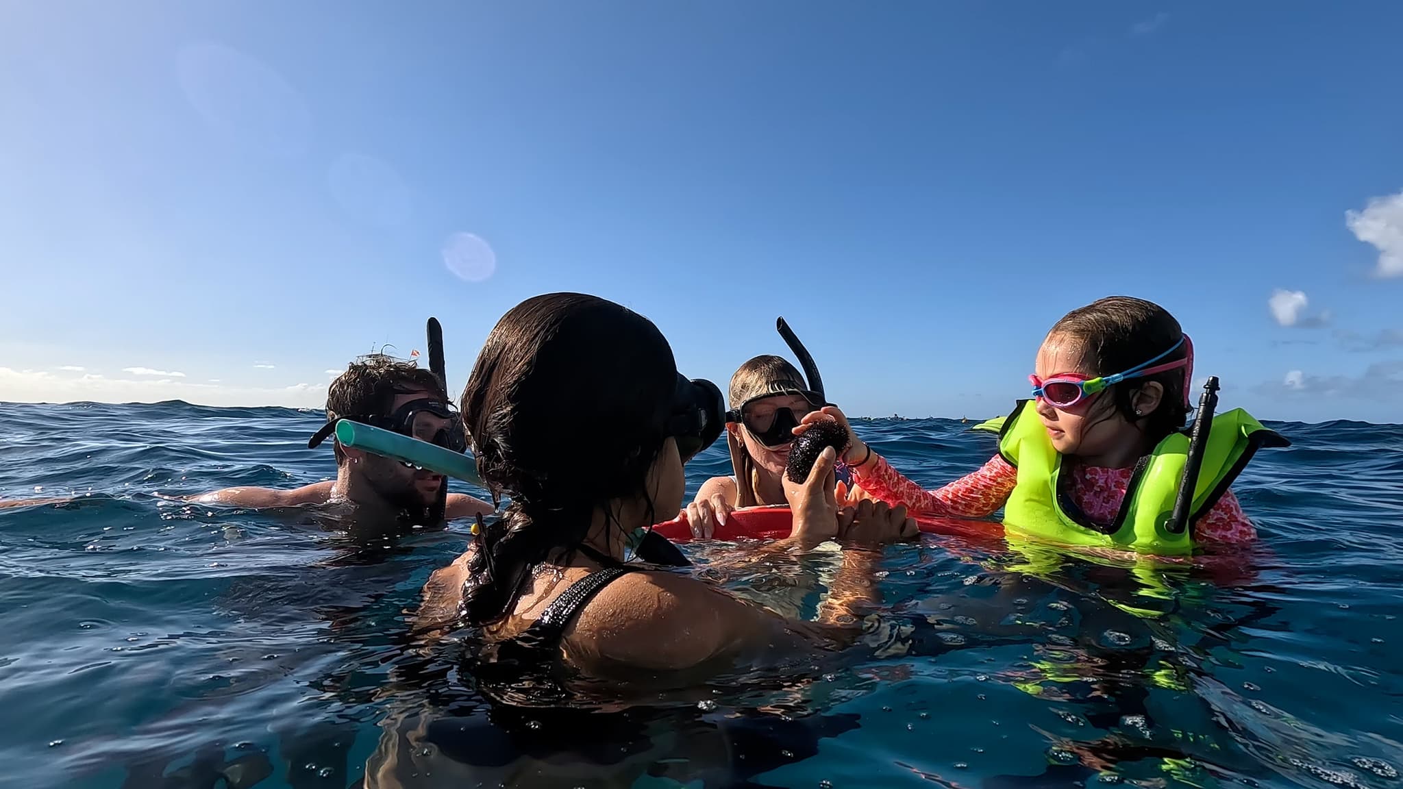IV Therapy Snorkel Excursion