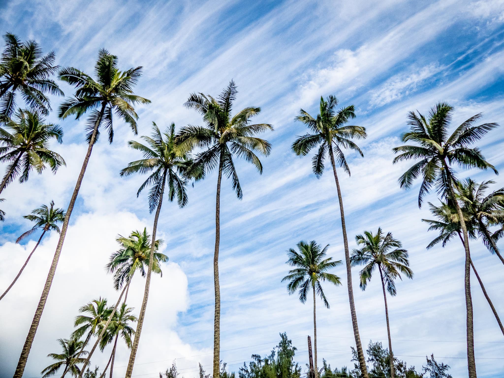 O'ahu Circle Island Tour