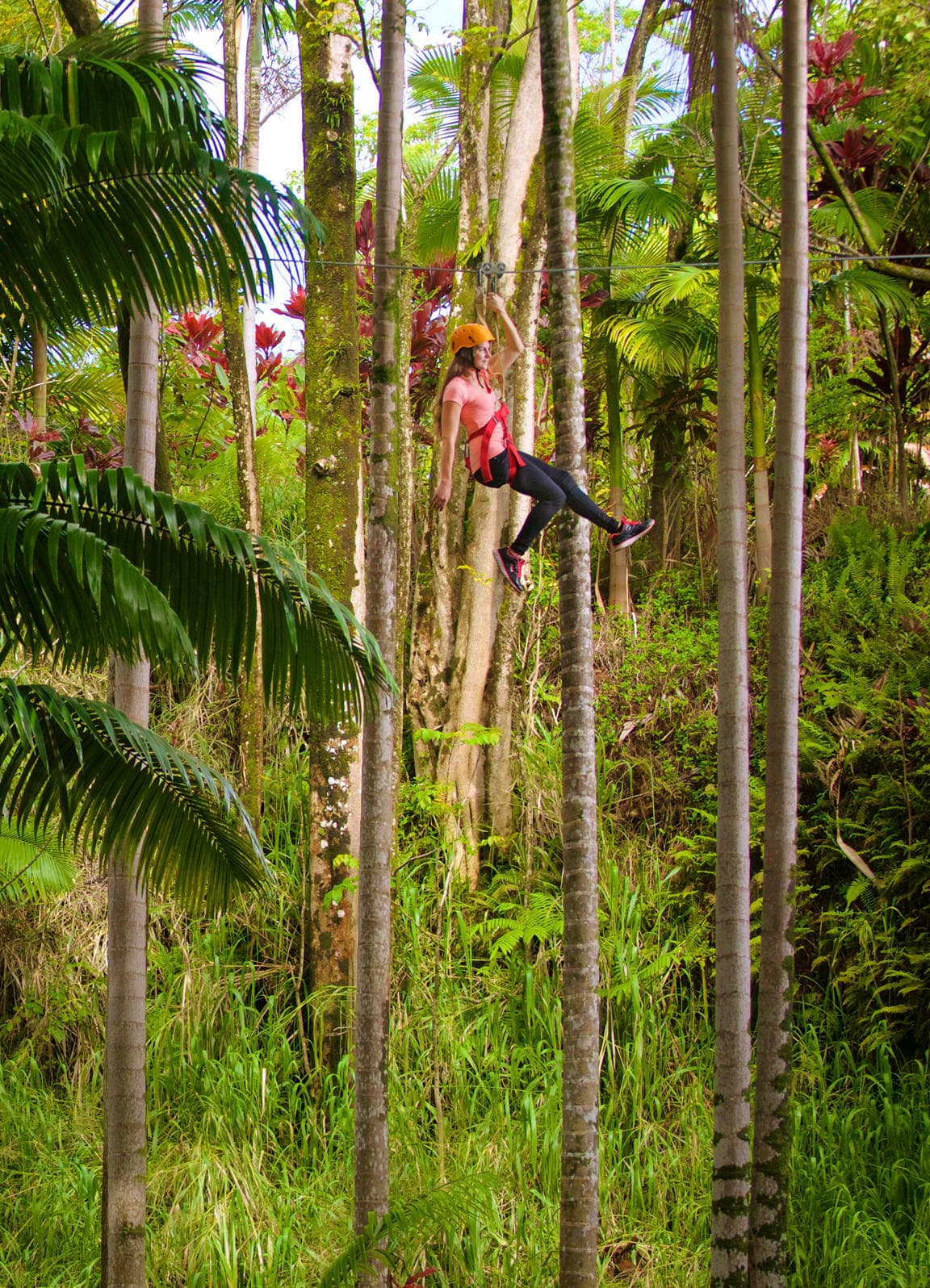 Zip Line at Botanical World Adventures (Approximately 2.5 Hours)